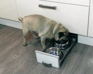Doggi Socki - Hund frisst aus integriertem Futternapf in Küchenschublade